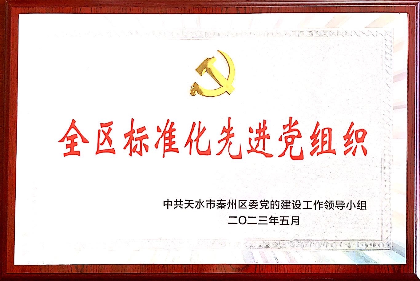 秦州区全区标准化先进党组织(图1)